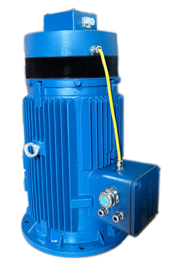 Kalıcı Mıknatıslı Motorlar Kataloğu