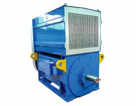 Orta Gerilim Motorlar Kataloğu