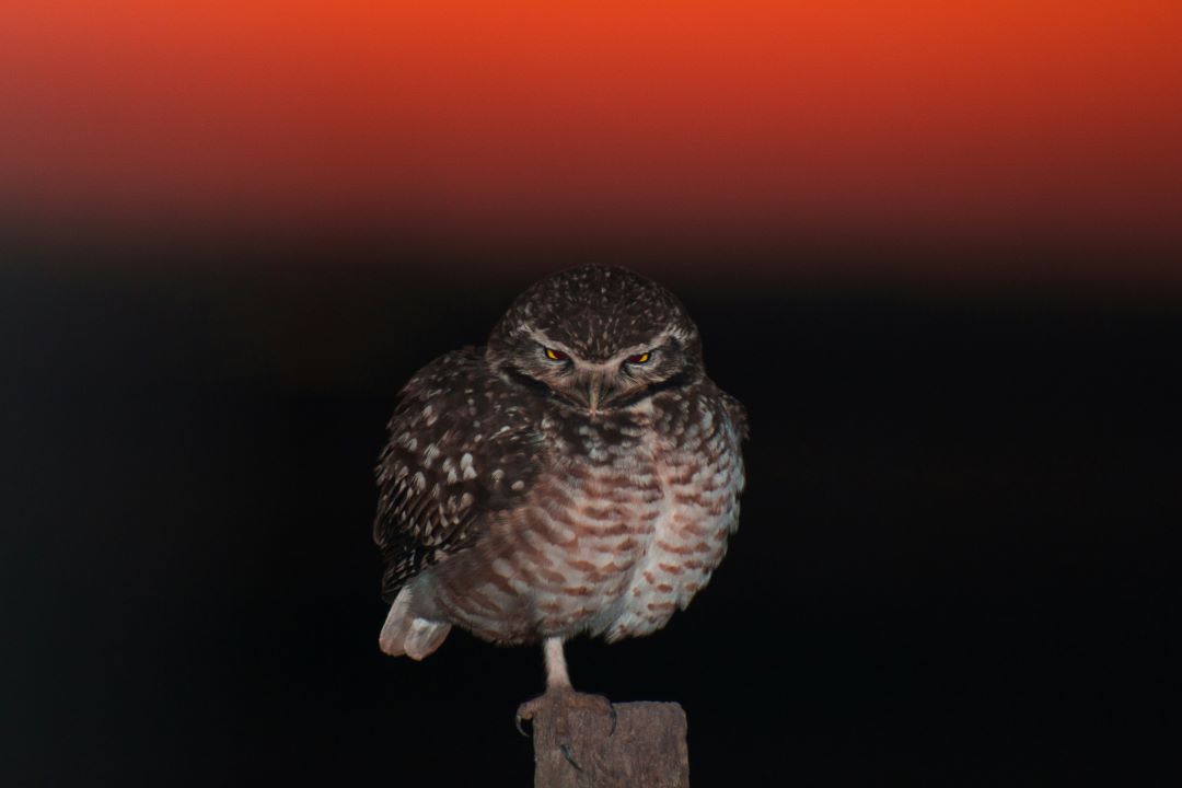 AEMOT Etik Politikaları