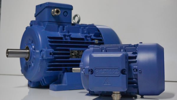 Alçak Gerilim Motorlar Kataloğu